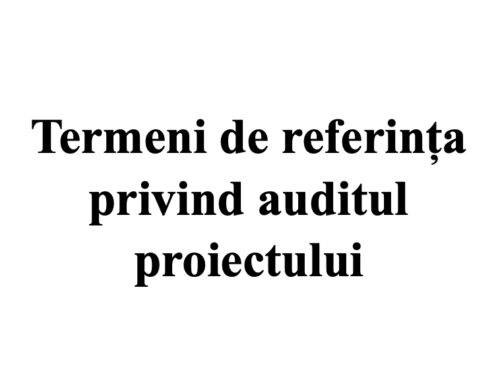 Termeni de referința privind auditul proiectului